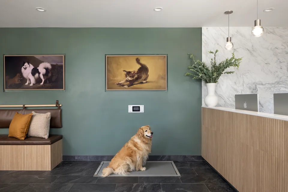 Golden retriever in the waiting room at Sevilla Veterinary Hospital